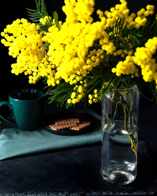 LES VASES Très Culotées Bruns