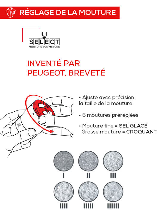 Bar à sels MAESTRO - PEUGEOT