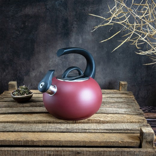 Bouilloire NEPTUNE 1,9l induction
