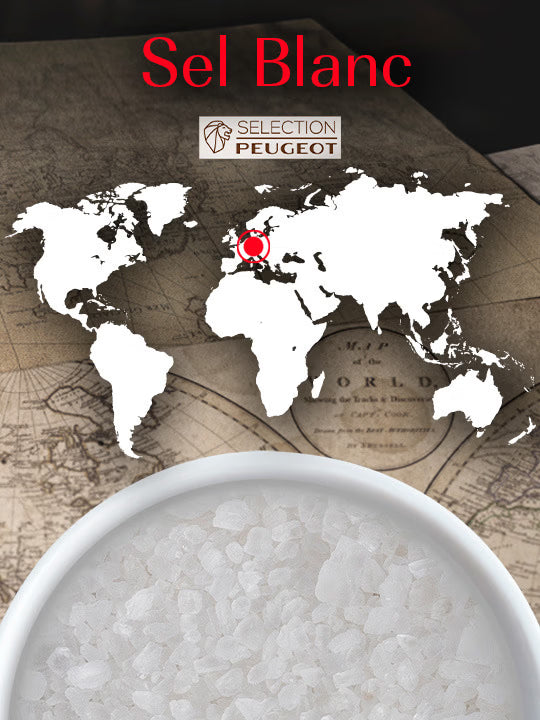 Gros sel blanc d'Allemagne, 350g (7x50g) - PEUGEOT