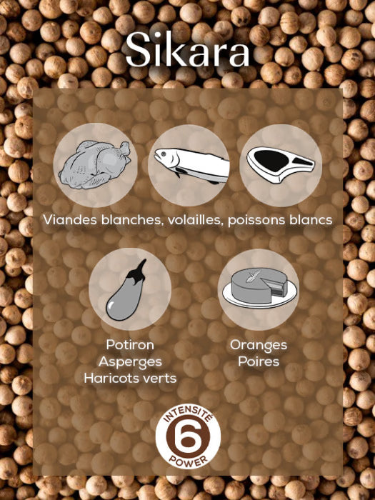 Poivre blanc de Madagascar, 60g (3x20g) - PEUGEOT