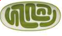 Plat oval Lulli