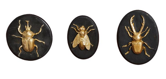Déco murale noir avec insectes