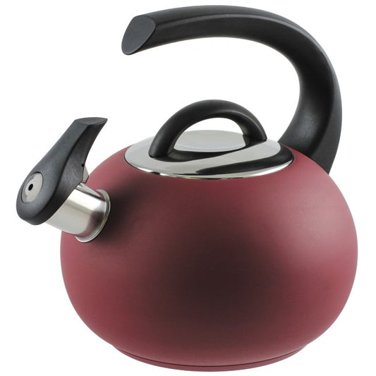 Bouilloire NEPTUNE 1,9l induction